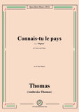 Thomas-Connais-tu le pays,from Mignon