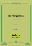 Webern-Im Morgentaun