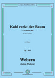 Webern-Kahl reckt der Baum