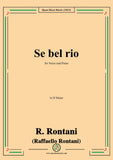 R. Rontani-Se bel rio