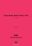 Balfe-From Rushy Beds of Silver Nile