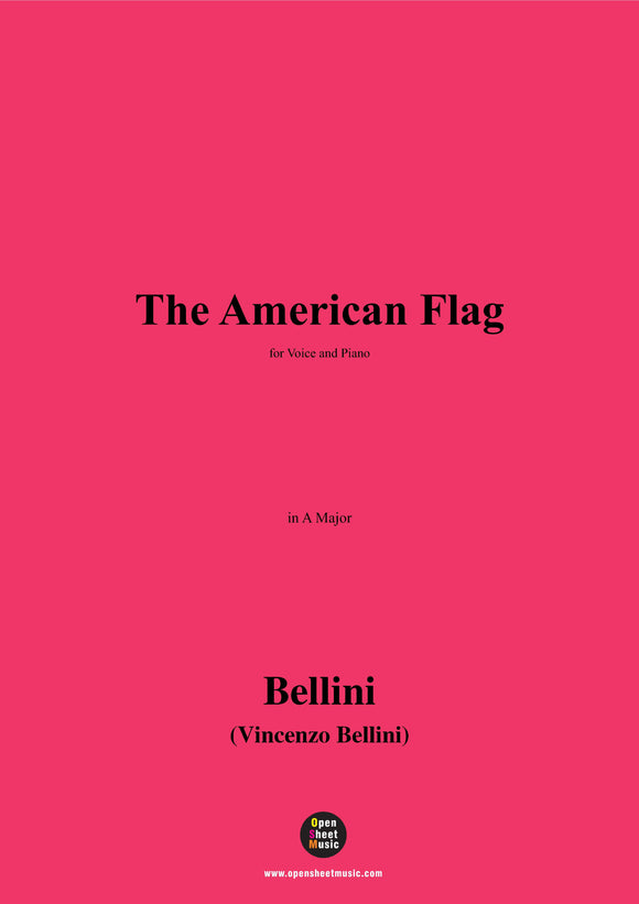 V. Bellini-The American Flag