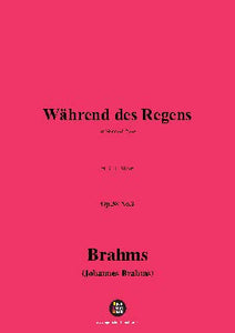 Brahms-Wahrend des Regens,Op.58 No.2