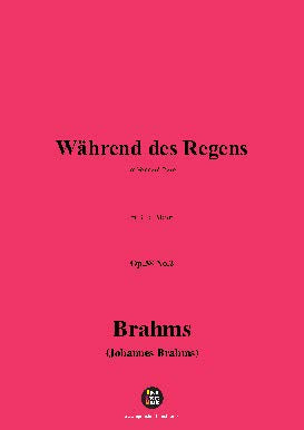 Brahms-Wahrend des Regens,Op.58 No.2