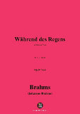 Brahms-Wahrend des Regens,Op.58 No.2