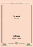 Caldara-La rosa,in E flat Major