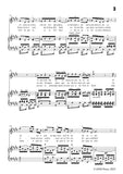 Chopin-In mir klingt ein Lied,Op.10 No.3