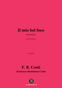F. B. Conti-Il mio bel foco