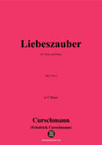 Curschmann-Liebeszauber