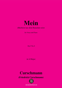 Curschmann-Mein