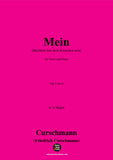 Curschmann-Mein