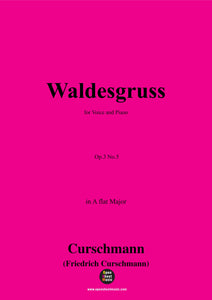 Curschmann-Waldesgruss