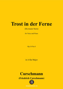 Curschmann-Trost in der Ferne