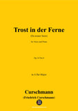 Curschmann-Trost in der Ferne