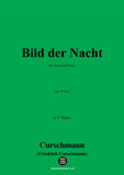 Curschmann-Bild der Nacht