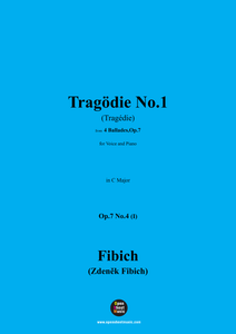 Fibich-Tragödie No.1