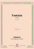 Schubert-Fantasia,D.940