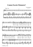 S. Gambardella-Comme Facette Màmmeta?