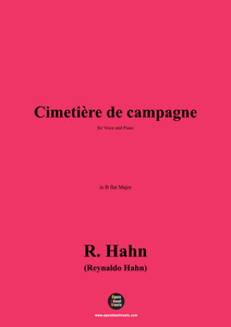 R. Hahn-Cimetière de campagne