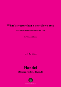 Handel-What's sweeter than a new-blown rose