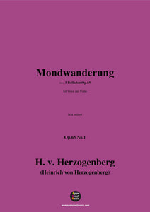 H. v. Herzogenberg-Mondwanderung