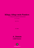 A. Jensen-Klinge,klinge mein Pandero