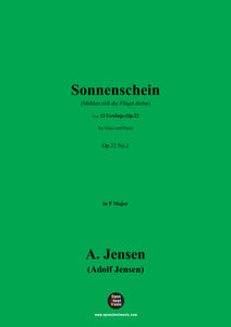 A. Jensen-Sonnenschein