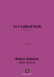 R. Johnson-As I walked forth