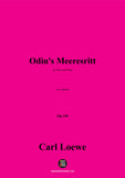 C. Loewe-Odins Meeresritt