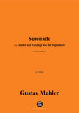 G. Mahler-Serenade