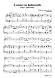 W. A. Mozart-È amore un ladroncello