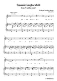 W. A. Mozart-Smanie implacabili
