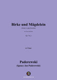 Paderewski-Birke und Mägdelein
