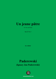 Paderewski-Un jeune pâtre
