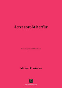 M. Praetorius-Jetzt sproßt herfür,for 2 Trumpets and 2 Trombones