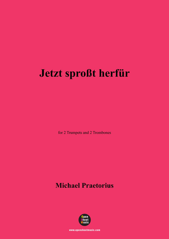 M. Praetorius-Jetzt sproßt herfür,for 2 Trumpets and 2 Trombones