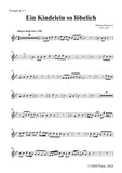 M. Praetorius-Ein Kindelein so löbelich,for Mixed Chorus,Brass and Timpani