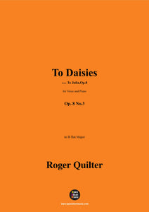 Quilter-To Daisies