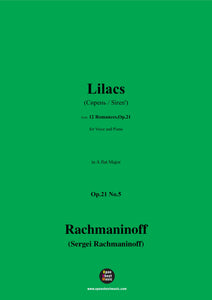 Rachmaninoff-Lilacs