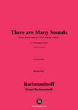 Rachmaninoff-There are Many Sounds