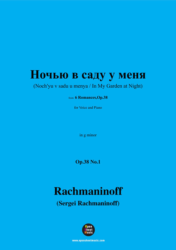 Rachmaninoff-Ночью в саду у меня