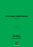 Rudnick-Ich kanns nicht fassen