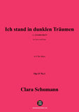 Clara Schumann-Ich stand in dunklen Träumen