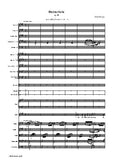 R. Schumann-Dichterliebe,Op.48,for Voice and Orchestra