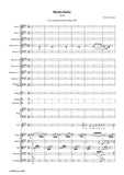 R. Schumann-Dichterliebe,Op.48,for Voice and Orchestra