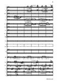 R. Schumann-Dichterliebe,Op.48,for Voice and Orchestra