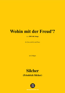 Silcher-Wohin mit der Freud?(Ach du klar blauer Himmel)