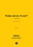 Silcher-Wohin mit der Freud?(Ach du klar blauer Himmel)