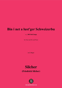 Silcher-Bin i net a lust'ger Schweizerbu(Bin i net a lust'ger Schweizerbu)