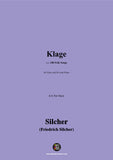 Silcher-Klage(Ich habe den Frühling gesehen)